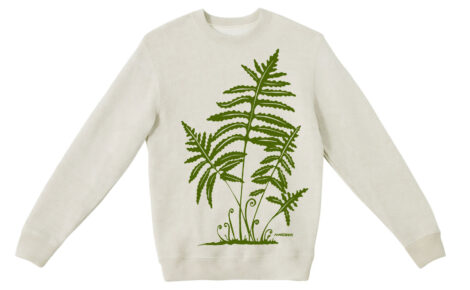 Textured Sweater Fern 2