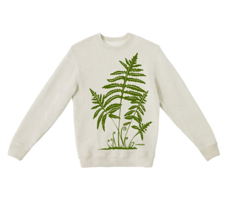 Textured Sweater Fern 2