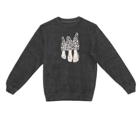 Textured Sweater Morels