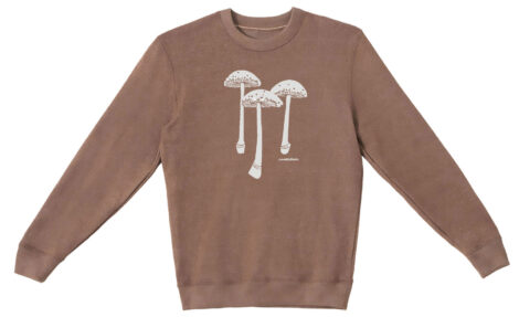 Textured Sweater 3 Mushrooms