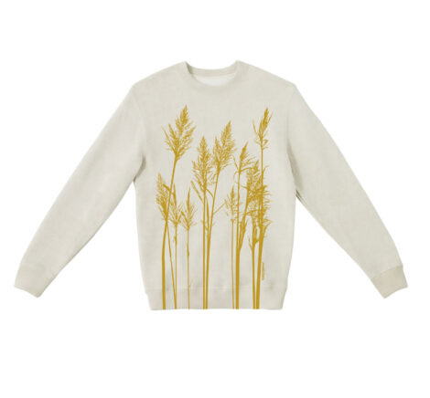 Textured Sweater Reeds